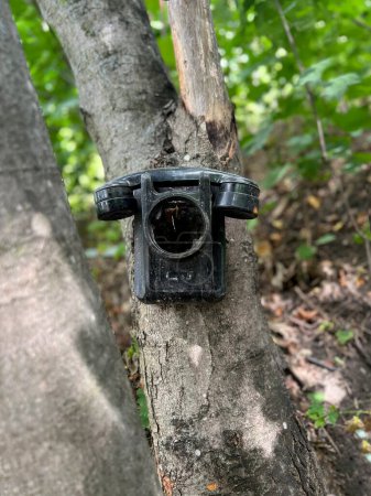 Foto de Negro viejo teléfono giratorio colgando en el árbol, broma - Imagen libre de derechos
