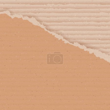 Illustration for Corrugated cardboard background with torn peace, realistic vector illustration - Royalty Free Image