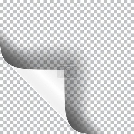 Curly corner of a paper sheet, realistic vector illustration with transparent shadow.