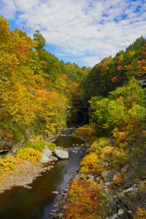 Photo for Autumn view of Roaring Brook from Steamtown Train ride in Scranton, Pennsylvania - Royalty Free Image