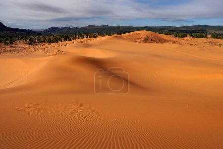 Photo for Sand dunes in Coral Pink Sand Dunes State Park in Utah - Royalty Free Image