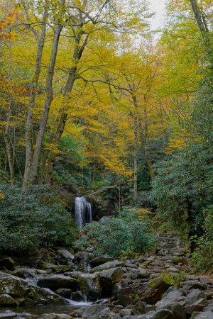 Photo for Grotto Falls in Great Smoky Mountains National Park in Tennessee surrounded by fall color - Royalty Free Image