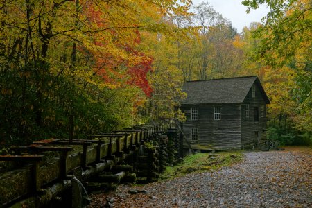 Téléchargez les photos : Moulin historique de Mingus dans le parc national Great Smoky Mountains en Caroline du Nord à l'automne - en image libre de droit