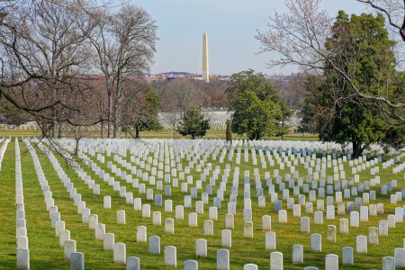 Téléchargez les photos : Rangées de pierres tombales dans le cimetière national d'Arlington avec le monument de Washington en arrière-plan - en image libre de droit