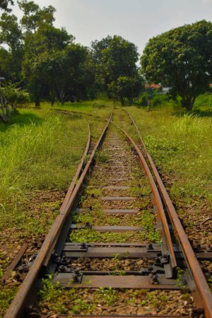 Photo for The fork in the road, This photo shows a fork in the train tracks in a grassy field. The tracks are straight and shiny, leading off into the distance. The grass is green and lush. The photo is a metaphor for a choice or a decision. - Royalty Free Image