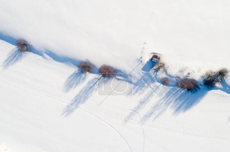 Photo for The bright sunlight creates shadows of the trees and bushes on the snow covering a river in the rural Finland. - Royalty Free Image