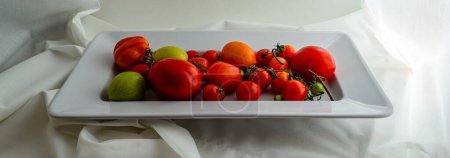 Photo for Panoramic above view of a white tray of red and green fresh picked variety of tomatoes.with sections of vines attached. - Royalty Free Image