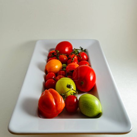 Photo for Above view of a white tray of red and green fresh picked variety of tomatoes.with sections of vines attached. - Royalty Free Image
