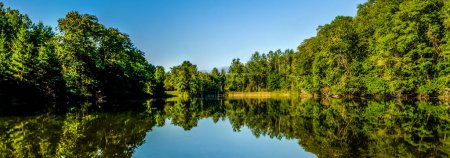 Panoramic Symetrical view of a tree-lined pond and it's reflection under a clear blue sky