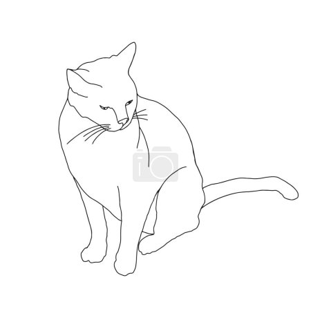 Illustration for Line art cute cat on a white background - Royalty Free Image