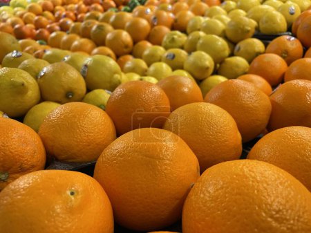 Photo for Grovetown, Ga USA - 02 -01 23: Grocery store rows of oranges on display produce department - Royalty Free Image