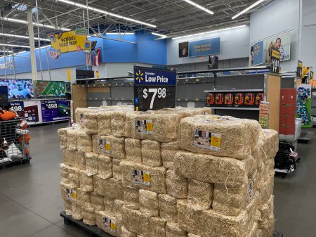 Photo for Grovetown, Ga USA - 11 03 22: Walmart retail store oral care Halloween section bundles of hay - Royalty Free Image