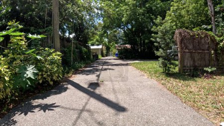 Téléchargez les photos : Lakeland, Fla USA - 04 29 24 : route pavée étroite belles maisons vintage en Floride verdure luxuriante - en image libre de droit
