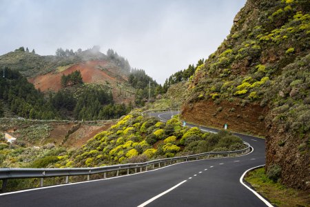 Téléchargez les photos : Road in the top of Gran Canaria. Caldera de los Marteles. canary Islands. - en image libre de droit