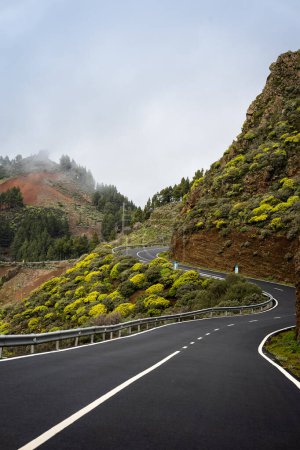 Téléchargez les photos : Road in the top of Gran Canaria. Caldera de los Marteles. canary Islands. vertical composition - en image libre de droit