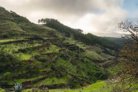 Téléchargez les photos : Paysage des hautes terres de Galdar par une journée brumeuse. Galdar. Gran Canaria . Espagne - en image libre de droit