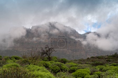 Tirajana Berge bedeckt von niedrigen Gewitterwolken im Hintergrund. Gran Canaria. Kanarische Inseln