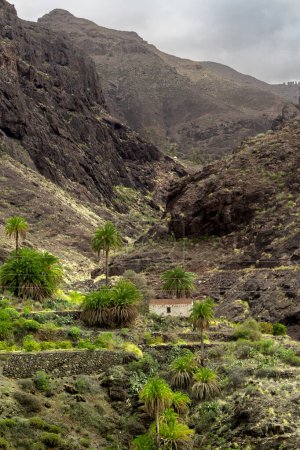 La Aldea de San Nicolas landscape. top of Gran Canaria . Gran Canaria. Canary islands