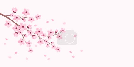 Pink cherry blossom branch with falling petals on a soft pink background, copy space. Vector illustration in flat style