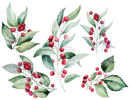 Photo for Christmas colorful watercolor twigs with green leaves and red berries., isolated Illustration. Hand painted Element for Winter holiday stationary, greetings, wallpaper, posters - Royalty Free Image