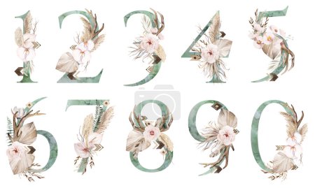 Photo for Watercolor green numbers with brown antlers, Beige tropical flowers and feathers, dried palm leaves and pampas grass, bohemian alphabet isolated illustration. Element for boho and ethnic wedding stationery - Royalty Free Image