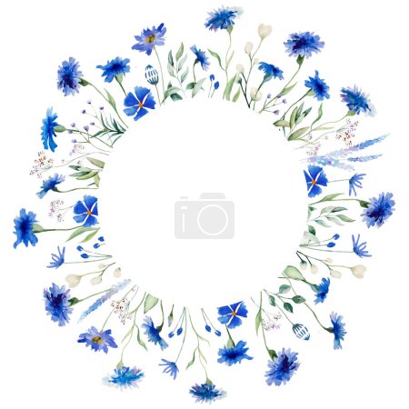 Téléchargez les photos : Aquarelle Bleuet bleu et fleurs sauvages cadre rond, illustration isolée, espace de copie. Élément floral pour la papeterie de mariage d'été et cartes de voeux - en image libre de droit