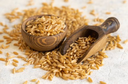 Photo for Wooden bowl and scoop of raw dry rye grain on white table close up. Healthy alternative low gluten seeds. Protein source for vegan and vegetarian diet. - Royalty Free Image