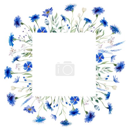 Photo for Watercolor Blue cornflower and wildflowers square frame, isolated illustration, copy space. Floral element for summer wedding stationery and greetings cards - Royalty Free Image