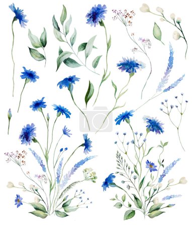 Téléchargez les photos : Aquarelle Bouquets de bleuets bleus, illustration isolée de fleurs sauvages. Éléments floraux de jardin pour papeterie de mariage d'été et cartes de voeux - en image libre de droit
