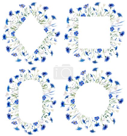 Foto de Acuarela Marcos de aciano azul, ilustración aislada de flor silvestre. Elementos florales de jardín para papelería de boda de verano y tarjetas de felicitación - Imagen libre de derechos