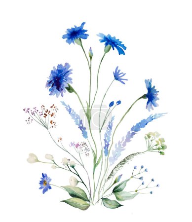 Photo for Watercolor Blue cornflower and wildflowers bouquet, isolated illustration, copy space. Floral element for summer wedding stationery and greetings cards - Royalty Free Image