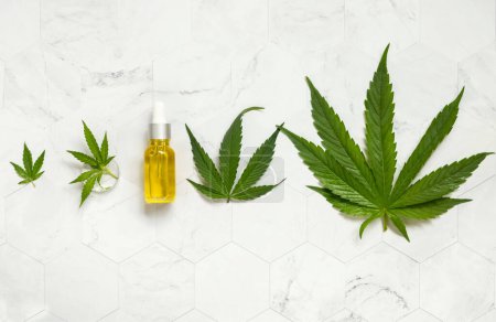 Photo for Dropper bottle near green cannabis sativa leaves on a marble table top view. Organic skincare beauty product. Eco friendly CBD oi - Royalty Free Image