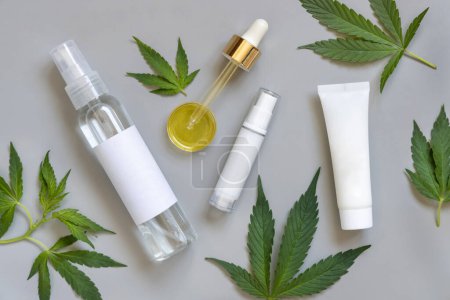 Photo for Cosmetic bottles, jars and pipette with blank labels near green cannabis sativa leaves on a grey table top view. Mockup, Copy space. CBD Organic skincare beauty products. - Royalty Free Image