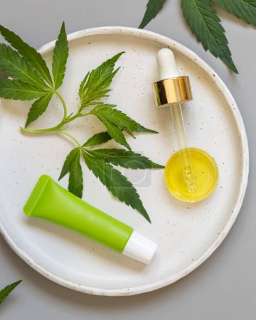 Photo for Cream tube and pipette near green cannabis sativa leaves on plate on grey table top view. Organic skincare beauty product. Eco friendly CBD Cosmetic - Royalty Free Image