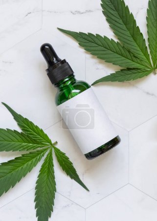 Dropper bottle with blank label near green cannabis sativa leaves on a marble table top view. Cosmetic Mockup, Copy space. Organic skincare beauty product. Eco friendly CBD oi