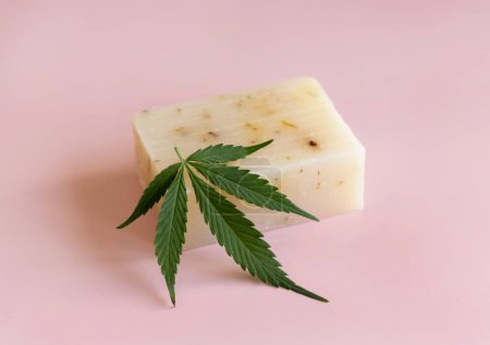 Photo for Craft soap bar near green cannabis sativa leaves on pink close up. Cosmetic Mockup, Copy space. Organic skincare beauty product. Eco friendly CBD soa - Royalty Free Image