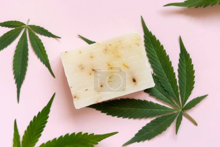 Photo for Craft soap bar near green cannabis sativa leaves on pink top view. Organic skincare beauty product. Eco friendly CBD soa - Royalty Free Image