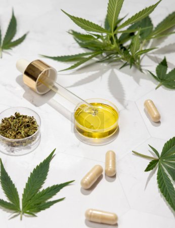 Photo for Pipette with CBD oil, capsules and Tea near green cannabis leaves close up on a marble table, hard shadows. Organic healthcare products. Alternative medicine for relax and slee - Royalty Free Image