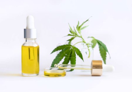 Photo for Dropper bottle with pipette near green cannabis leaves close up on white. Organic skincare beauty product. Eco friendly CBD oil. Alternative healthcare concep - Royalty Free Image