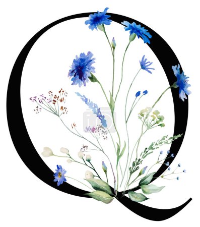 Téléchargez les photos : Lettre noire Q avec aquarelle bleuets et fleurs sauvages qith vert feuilles bouquet illustration isolée. Alphabet Element pour la papeterie de mariage et de salutation - en image libre de droit