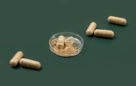 Photo for Dietary supplement capsules on dark green close up. One capsule opened to show beige powder in a jar. Preventive medicine and healthcare, taking vitamins. Pharmaceutical product - Royalty Free Image