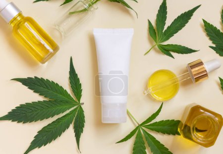 Photo for Pipette with oil and blank white cream tube near green cannabis leaves on beige top view. Organic skincare beauty products, natural alternative cosmetic - Royalty Free Image