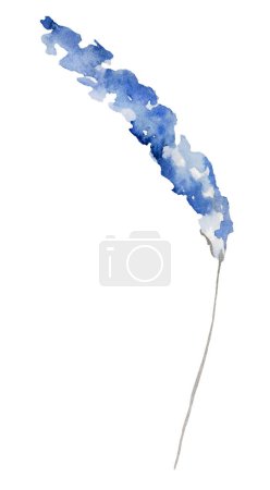 Foto de Acuarela flores de lavanda ilustración, aislado. Elemento floral de jardín azul para papelería de boda de verano y tarjeta de felicitación - Imagen libre de derechos