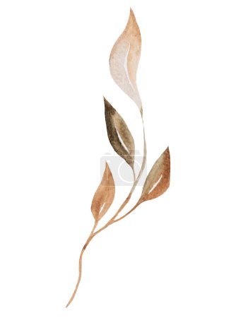 Photo for Watercolor brown and beige tiny leaves isolated illustration. Boho element for autumn wedding stationery and greetings cards - Royalty Free Image