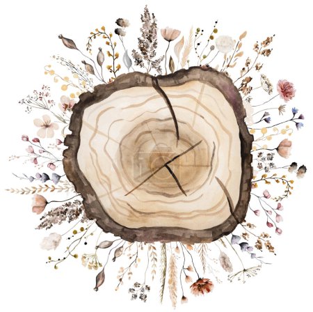 Foto de Acuarela rodajas redondas de madera con ramo de flores silvestres de color marrón y beige. Elemento aislado pintado a mano. Ilustración forestal natural para diseño, impresión, papelería, saludos - Imagen libre de derechos