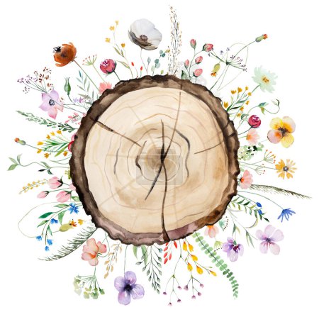 Téléchargez les photos : Tranches rondes en bois aquarelle avec bouquet de fleurs sauvages d'été. Élément isolé peint à la main. Illustration de forêt naturelle pour la conception, l'impression, la papeterie, les salutations - en image libre de droit