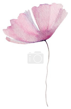 Photo for Watercolor light pink tiny wildflower isolated illustration. Botanical element for summer and autumn Floral wedding stationery and greetings cards - Royalty Free Image