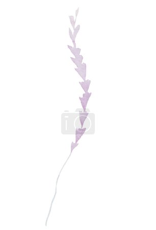Photo for Watercolor light purple twig with tiny leaves isolated illustration. Romantic pastel element for wedding stationery and greetings cards - Royalty Free Image