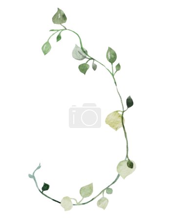 Watercolor twigs with green tiny leaves, isolated illustration. Romantic botanical element for spring and summer wedding stationery and greetings cards