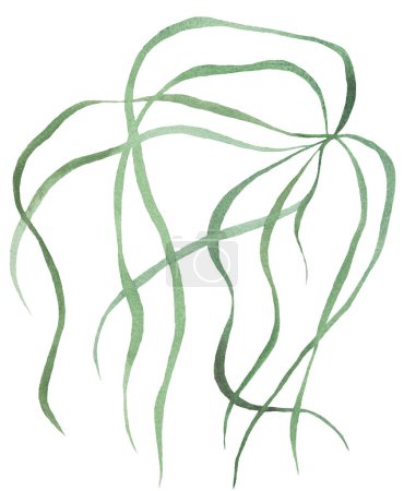 Téléchargez les photos : Aquarelle fines feuilles minuscules herbe verte, illustration isolée. Élément botanique romantique pour la papeterie de mariage de printemps et d'été et cartes de voeux - en image libre de droit